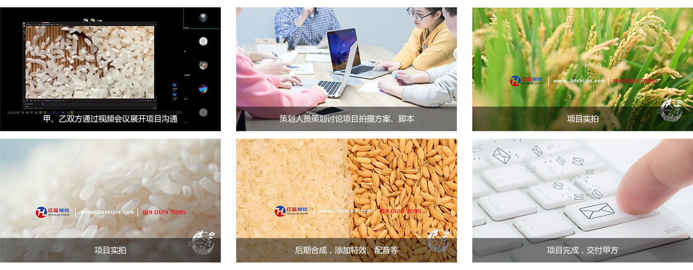 項目實拍與制作(zuò)花(huā)絮.jpg